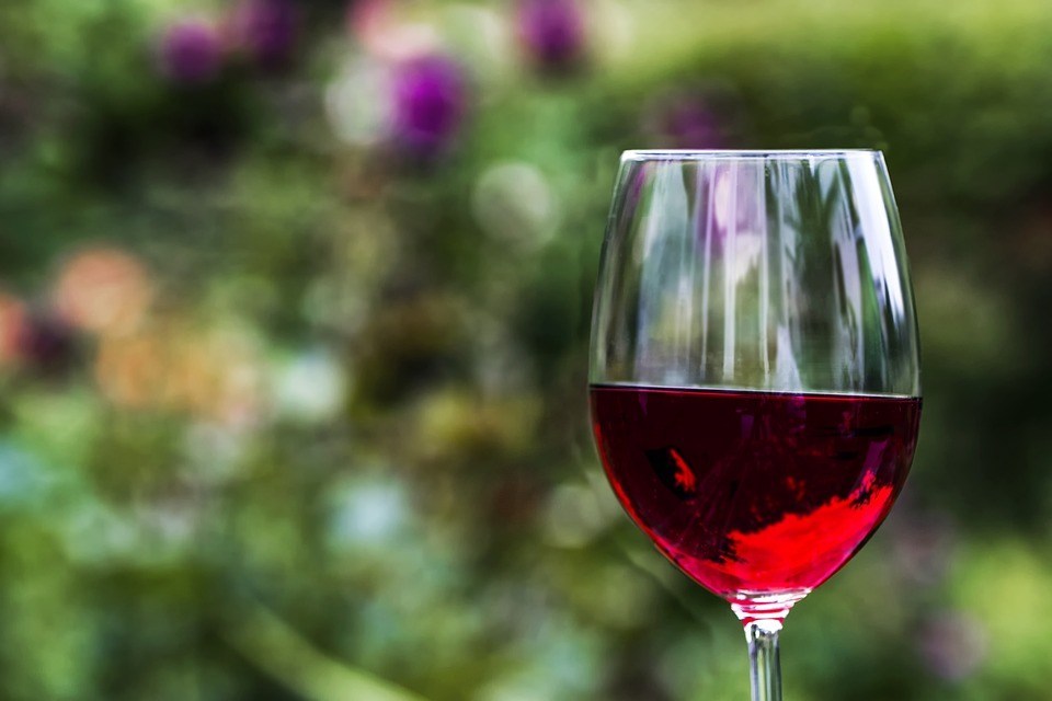 Cómo conservar tus vinos en perfectas condiciones.
